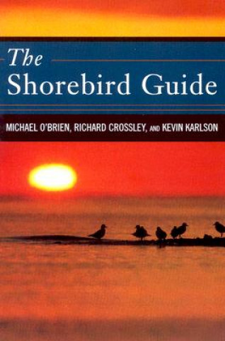 Книга Shorebird Guide Michael O'Brien