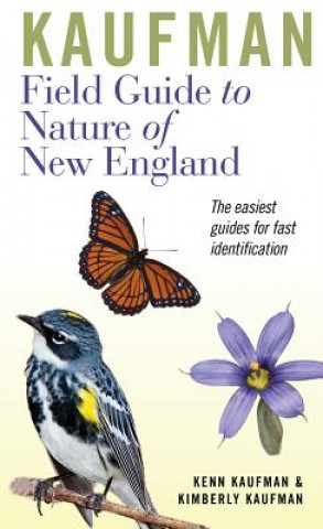 Carte Kaufman Field Guide to Nature of New England Kenn Kaufman