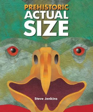 Buch Prehistoric Actual Size Steve Jenkins