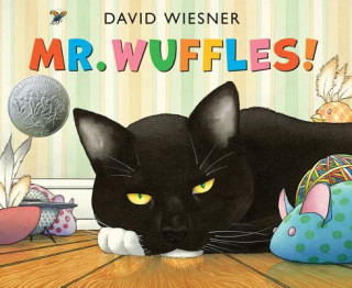 Książka Mr. Wuffles! David Wiesner