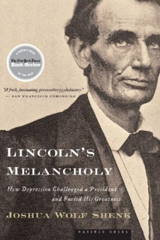 Livre Lincoln's Melancholy Joshua Wolf Shenk