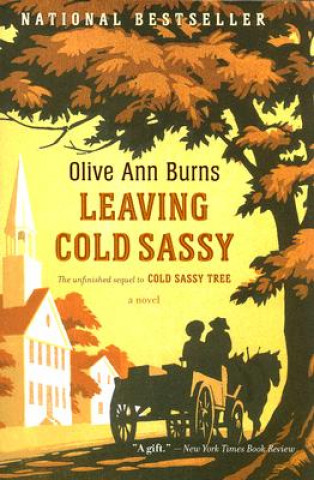 Könyv Leaving Cold Sassy Olive Ann Burns