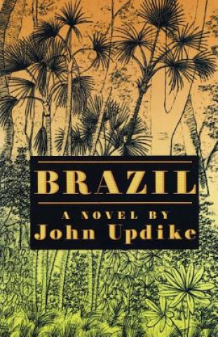 Libro Brazil John Updike