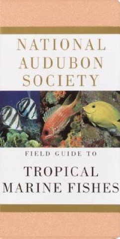 Книга National Audubon Society Field Guide to Tropical Marine Fishes C. Lavett Smith