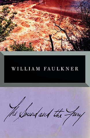 Kniha The Sound and the Fury William Faulkner