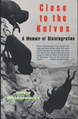 Книга Close to the Knives David Wojnarowicz