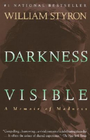 Könyv Darkness Visible William Styron