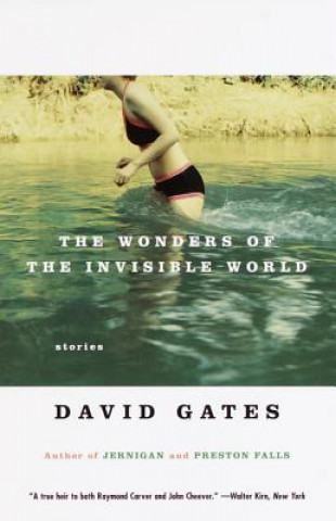 Könyv The Wonders of the Invisible World David Gates