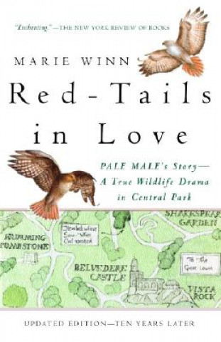 Könyv Red-Tails in Love Marie Winn