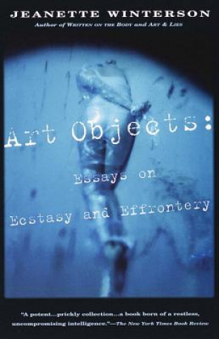Boek Art Objects Jeanette Winterson