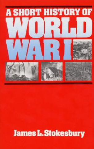 Kniha Short History of World War I James L. Stokesbury