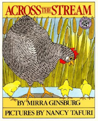 Kniha Across the Stream Mirra Ginsburg