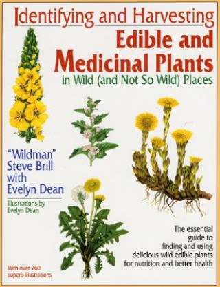 Könyv Identifying and Harvesting Edible and Medicinal Plants in Wild Steve Brill
