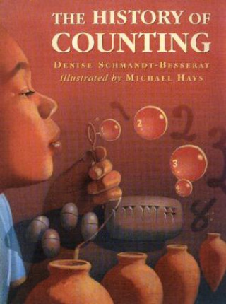 Kniha The History of Counting Denise Schmandt-Besserat