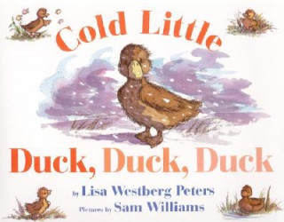 Kniha Cold Little Duck, Duck, Duck Lisa Westberg Peters