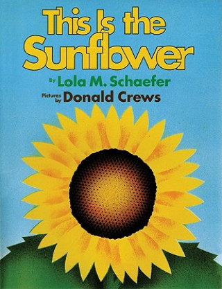 Kniha This Is the Sunflower Lola M. Schaefer