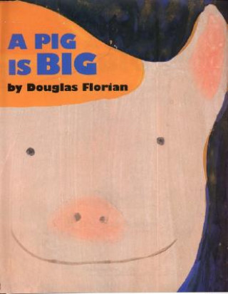 Kniha A Pig Is Big Douglas Florian
