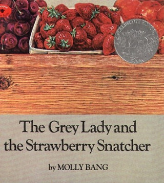 Książka Grey Lady & the Strawberry Snatcher Molly Bang