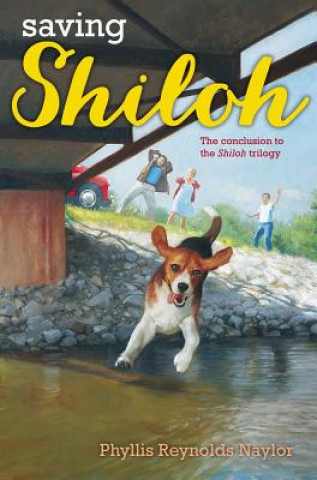 Buch Saving Shiloh Phyllis Reynolds Naylor