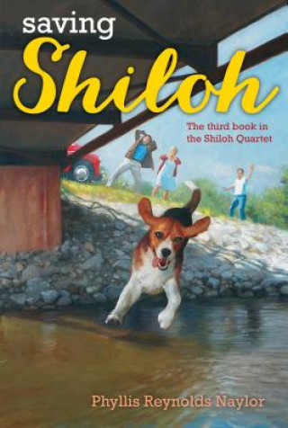 Kniha Saving Shiloh Phyllis Reynolds Naylor