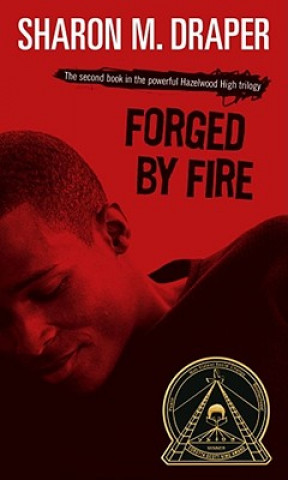 Kniha Forged by Fire Sharon M. Draper