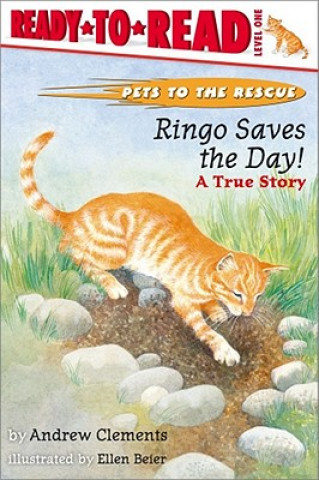 Kniha Ringo Saves the Day! Andrew Clements