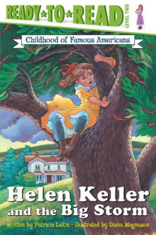 Kniha Helen Keller and the Big Storm Patricia Lakin