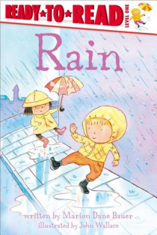 Könyv Rain Marion Dane Bauer