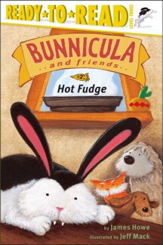 Book Hot Fudge James Howe