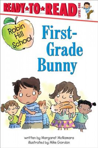Kniha First-grade Bunny Margaret McNamara