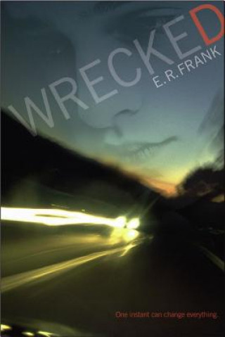 Kniha Wrecked E. R. Frank