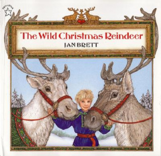 Buch The Wild Christmas Reindeer Jan Brett