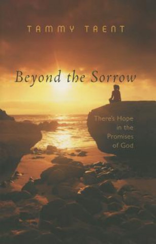 Kniha Beyond the Sorrow Tammy Trent