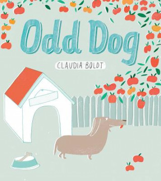 Kniha Odd Dog Claudia Boldt