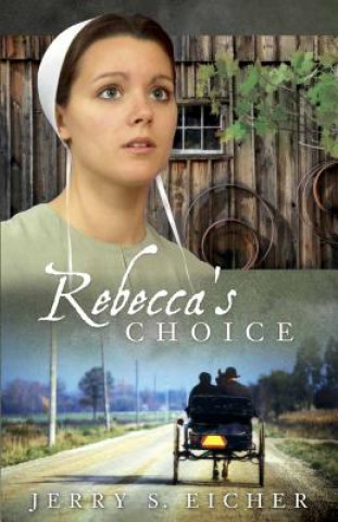 Könyv Rebecca's Choice Jerry S. Eicher