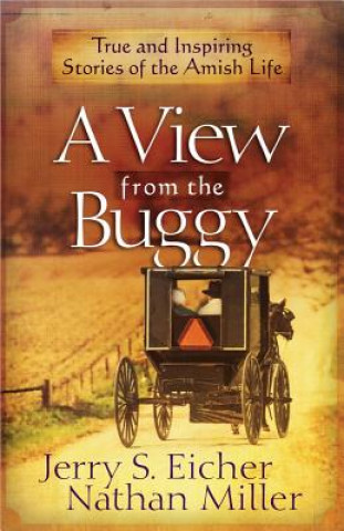 Book View from the Buggy Jerry S. Eicher