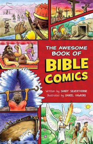 Buch The Awesome Book of Bible Comics Sandy Silverthorne