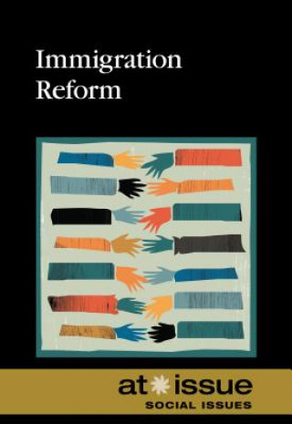Kniha Immigration Reform Noel Merino