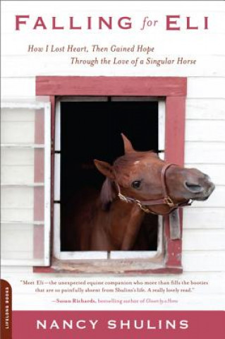 Knjiga Falling for Eli Nancy Shulins