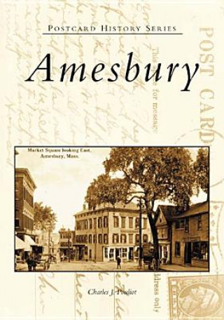 Knjiga Amesbury Charles J. Pouliot