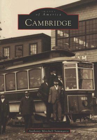 Kniha Cambridge Anthony Mitchell Sammarco