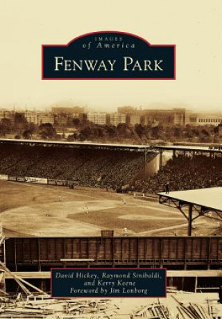 Книга Fenway Park David Hickey