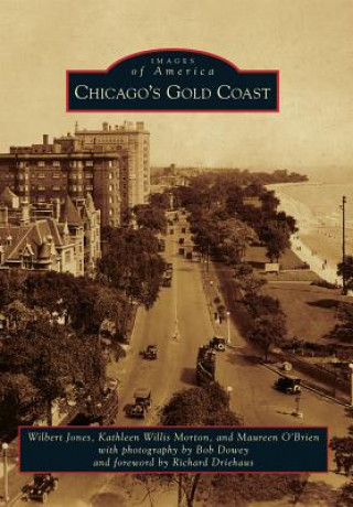 Könyv Chicago's Gold Coast Wilbert Jones