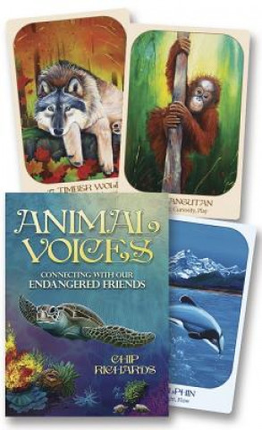 Kniha Animal Voices Oracle Chip Richards