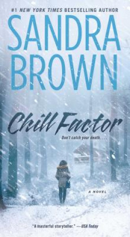 Kniha Chill Factor Sandra Brown