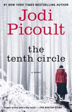 Книга The Tenth Circle Jodi Picoult