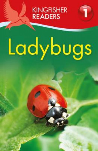 Knjiga Ladybugs Thea Feldman