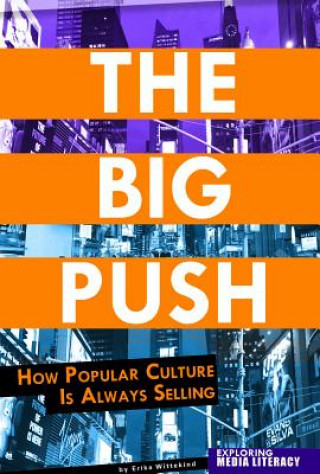 Libro The Big Push Erika Wittekind