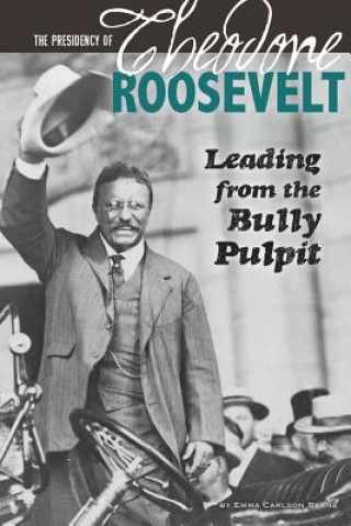 Buch The Presidency of Theodore Roosevelt Emma Carlson Berne