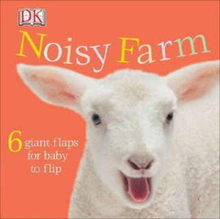 Kniha FUN FLAPS FARM Inc. Dorling Kindersley